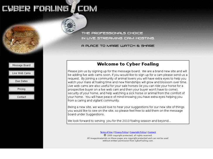 www.cyberfoaling.com