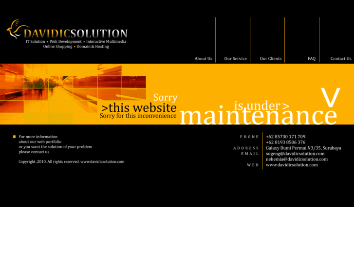 www.davidicsolution.com