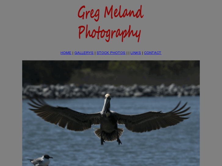 www.gregmeland.com