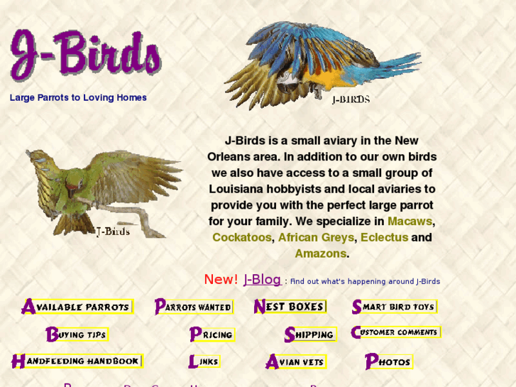 www.j-birds.com