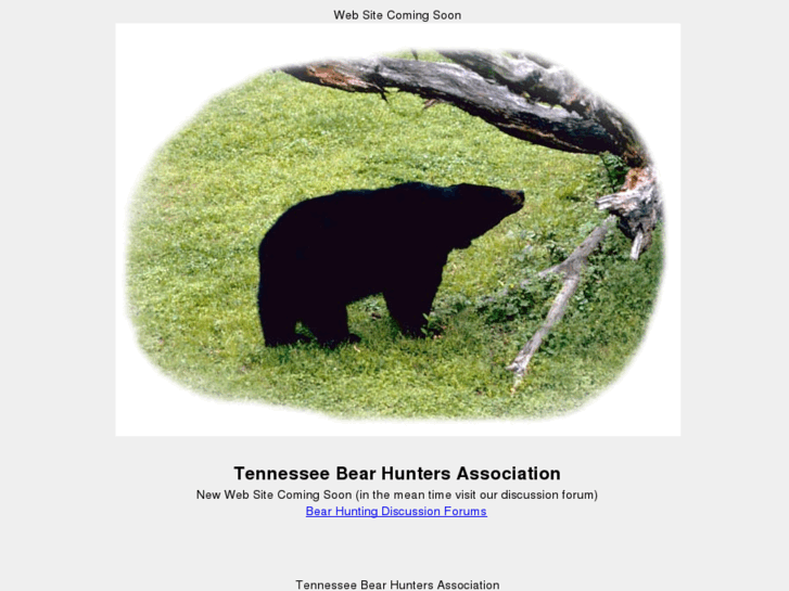 www.tnbear.com