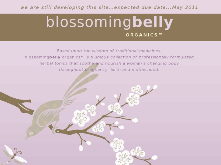 www.blossomingbelly.com