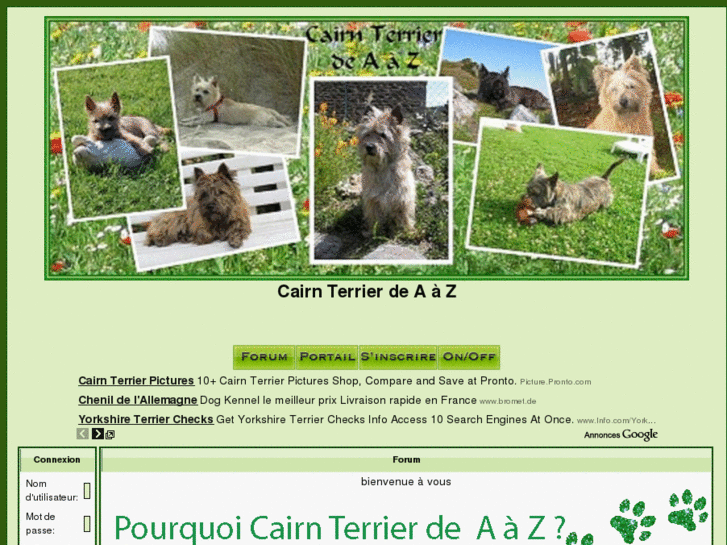 www.cairnterrierdeaaz.com