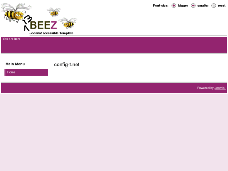 www.config-t.net