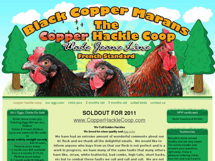 www.copperhacklecoop.com