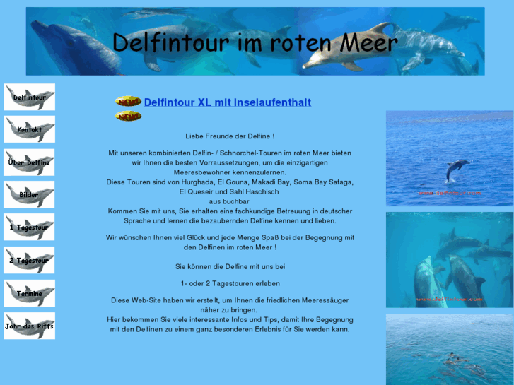 www.delfintour.com