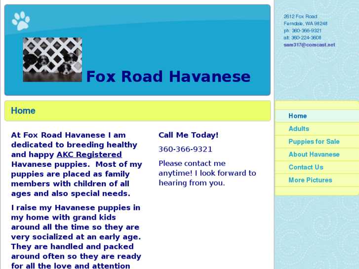 www.foxroadhavanese.com