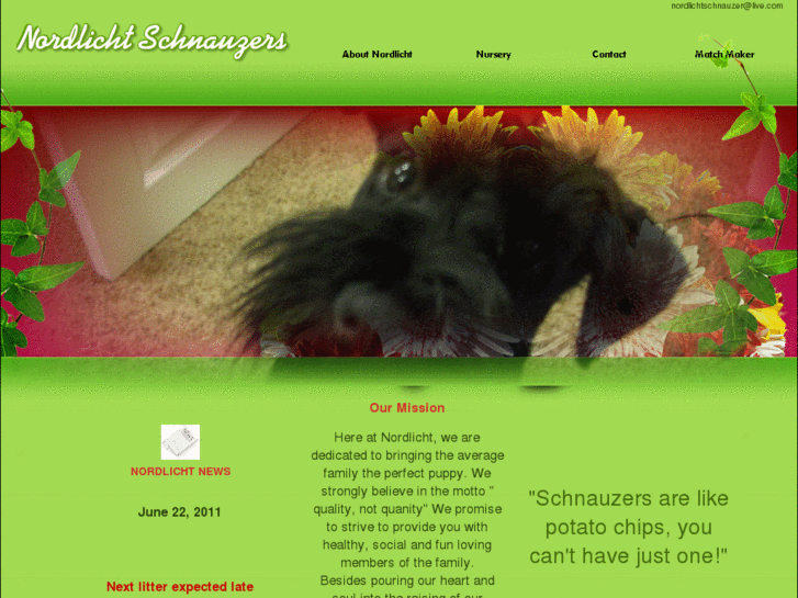 www.nordlichtschnauzers.com