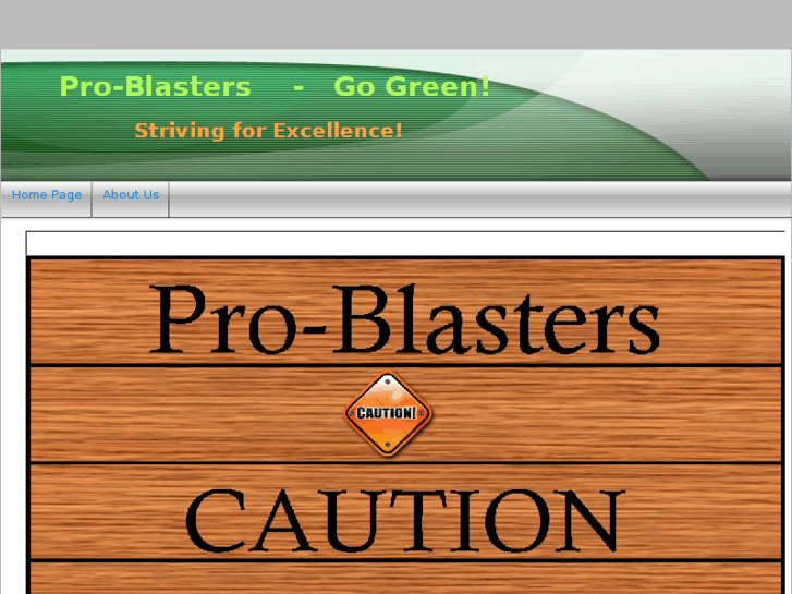 www.pro-blasters.com