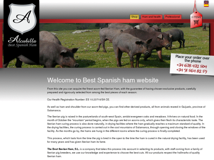 www.bestspanishham.com