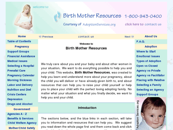 www.birthmotherresources.com