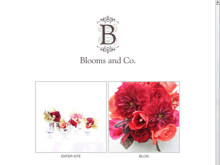 www.bloomsandco.com