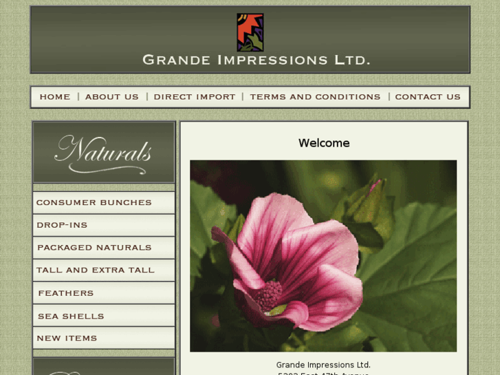 www.grandeimpressions.com