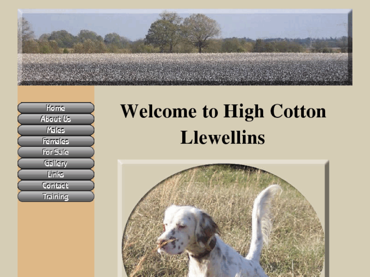 www.highcottonllewellins.com