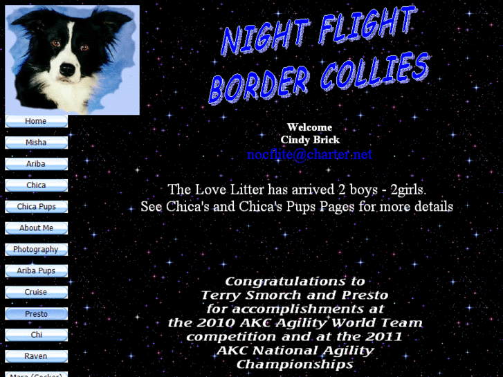 www.nightflightbordercollie.com