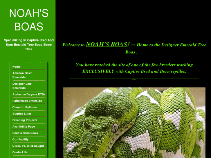 www.noahsboas.com