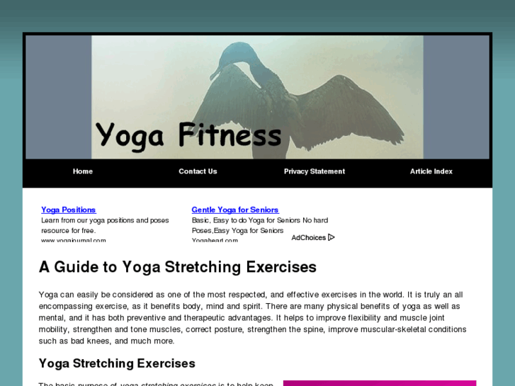 www.yogastretchingexercises.com