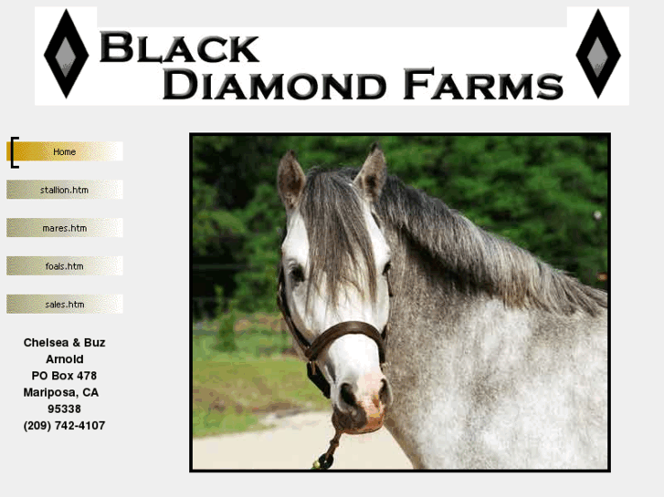 www.blackdiamondponies.com