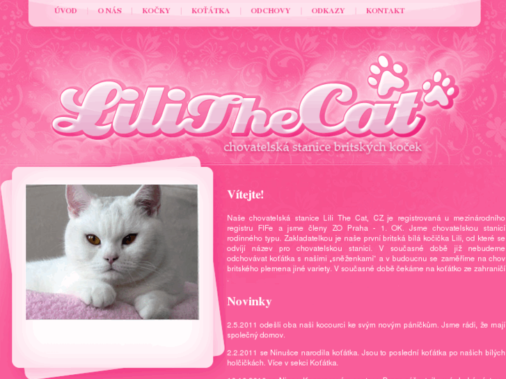 www.lilithecat.cz