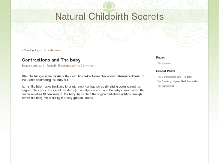 www.naturalchildbirthsecrets.com