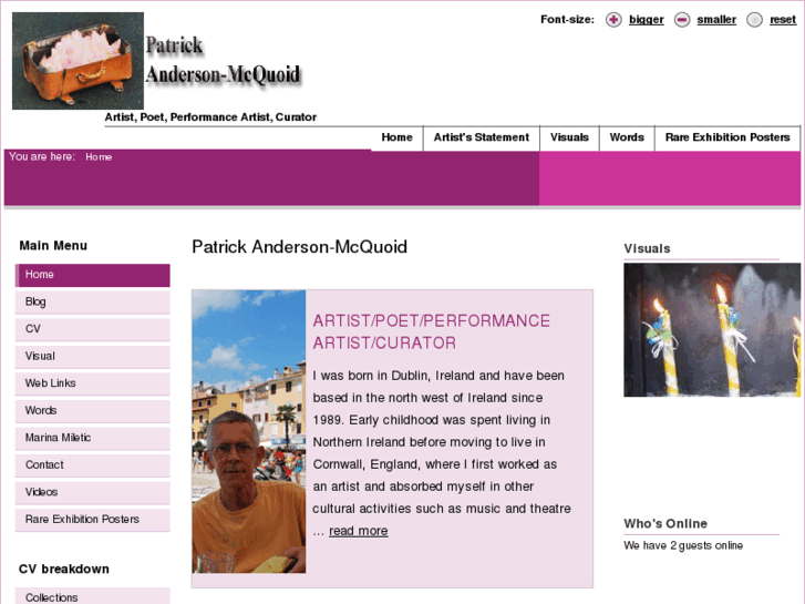 www.patrickanderson-mcquoid.com