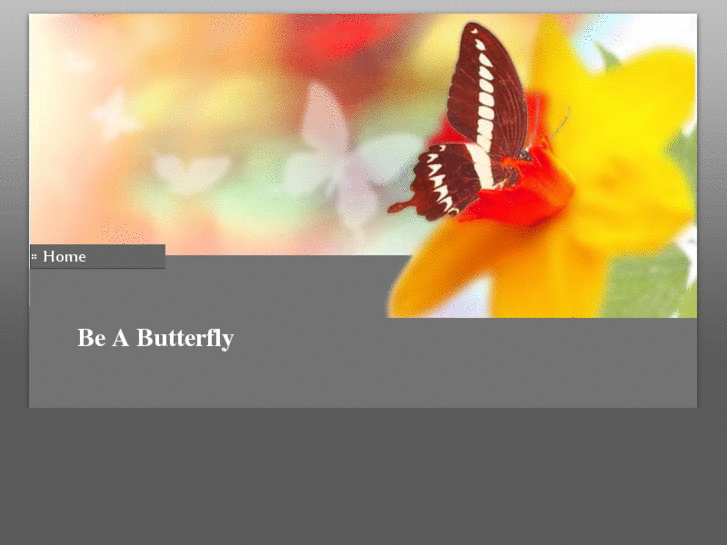 www.teambutterfly.com