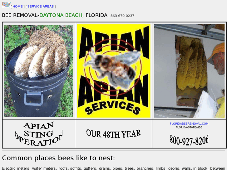 www.beeremoval-daytonabeach.com