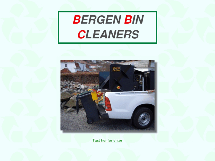 www.bergenbincleaners.com