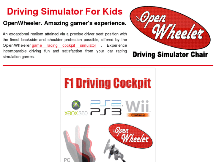 www.drivingsimulatorforkids.com