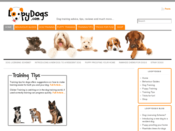 www.loopydogs.com