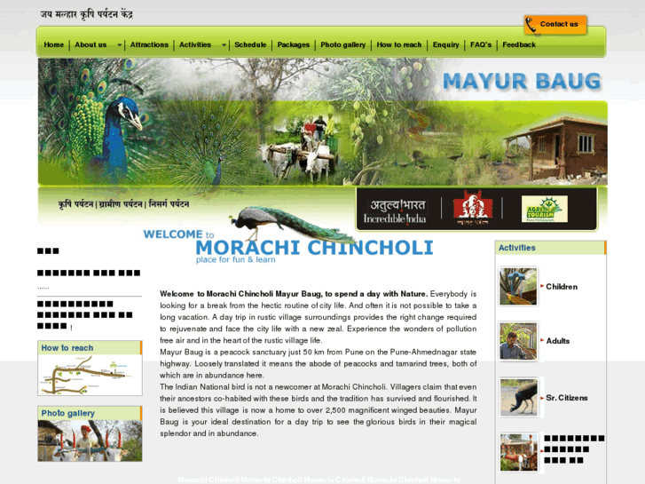 www.morachichincholi.com