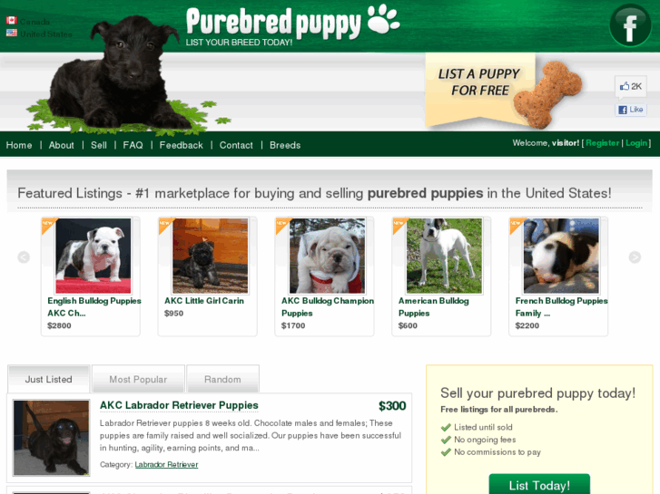 www.purebred-puppy.com