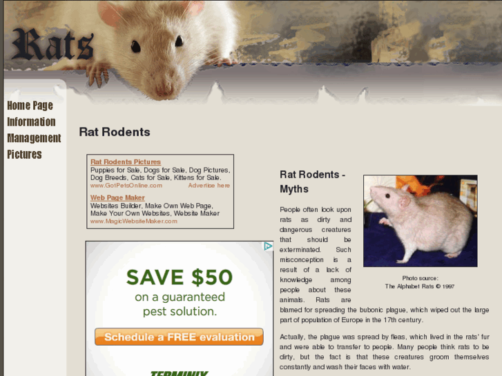 www.rat-rodents.com