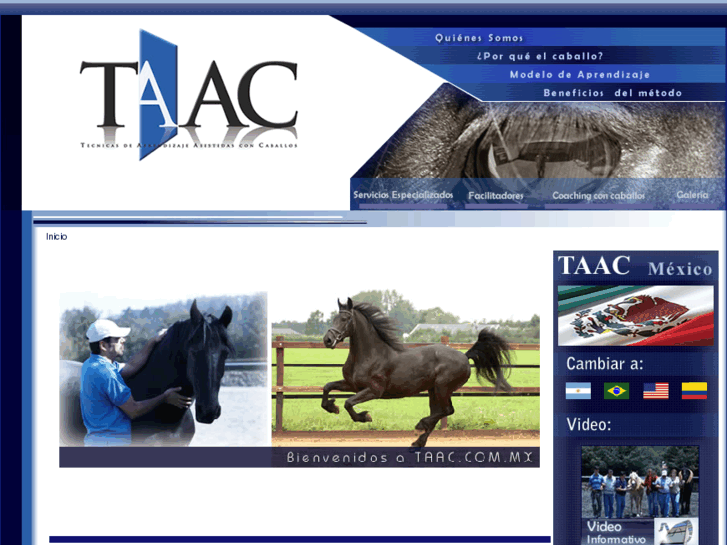 www.taac.com.mx