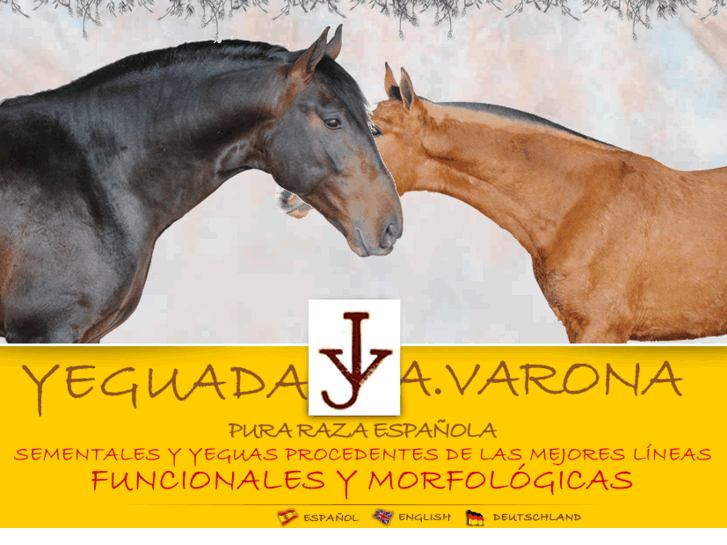 www.yeguadajavarona.com