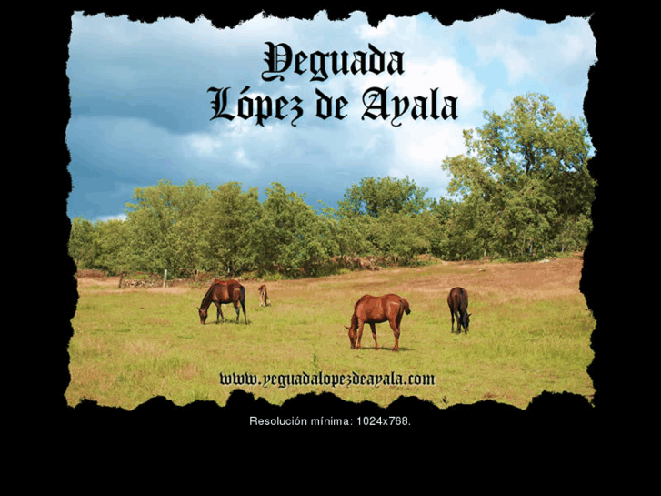 www.yeguadalopezdeayala.com