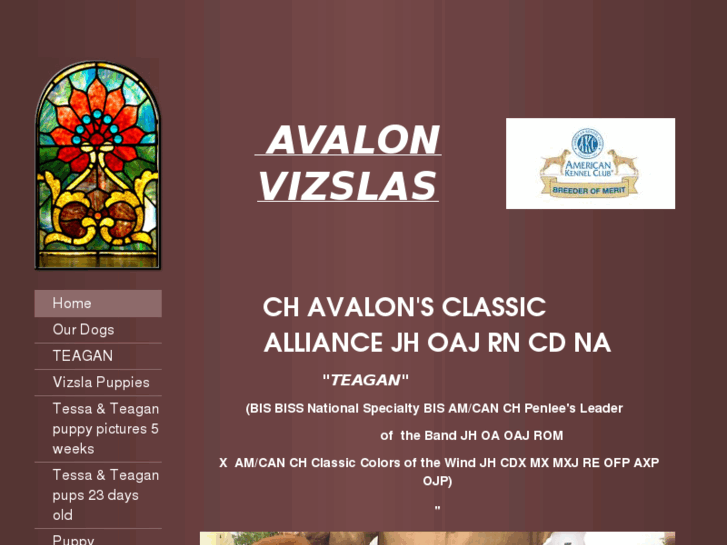 www.avalonvizslas.com