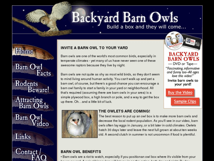 www.barnowls.com