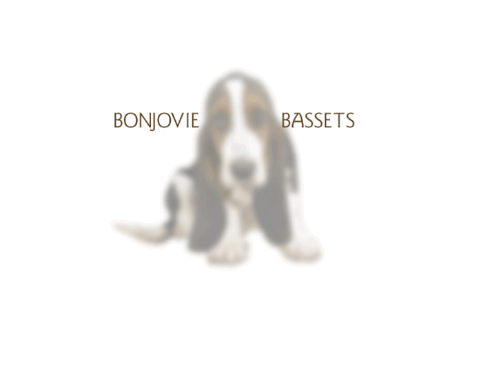 www.bonjoviebassets.com