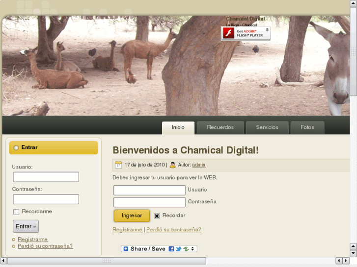 www.chamical.net