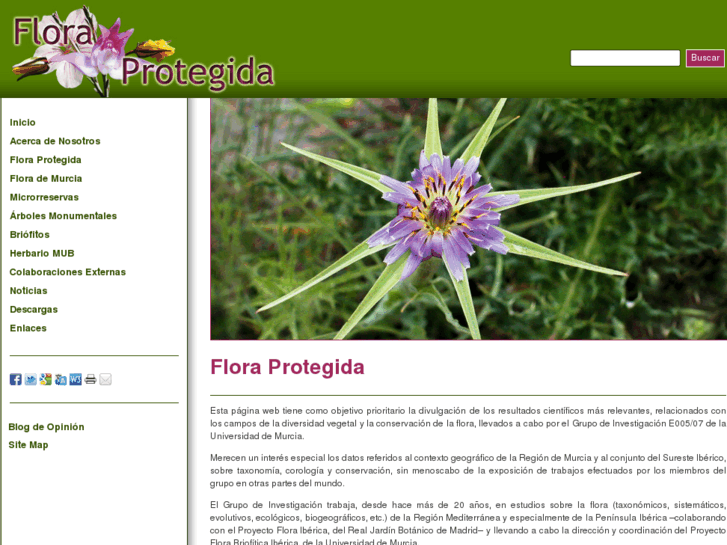 www.floraprotegida.es