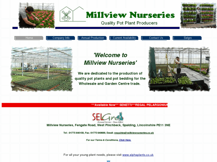 www.millviewnurseries.com