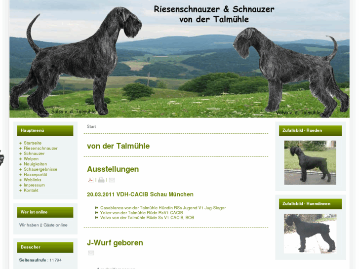 www.riesenschnauzer-talmuehle.de