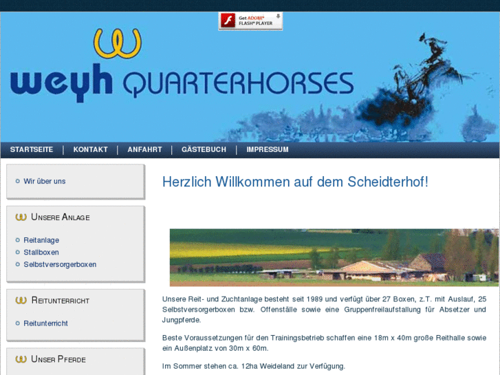 www.weyh-quarterhorses.de