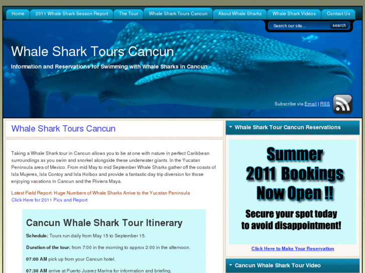 www.whalesharktourscancun.com