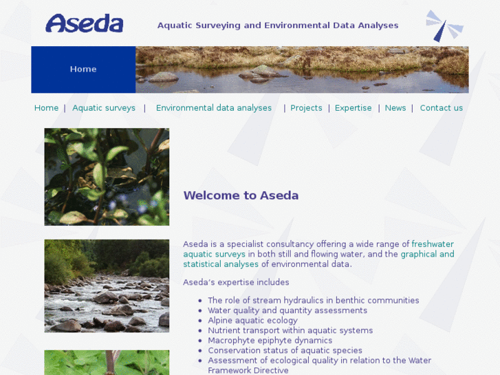 www.aseda.co.uk