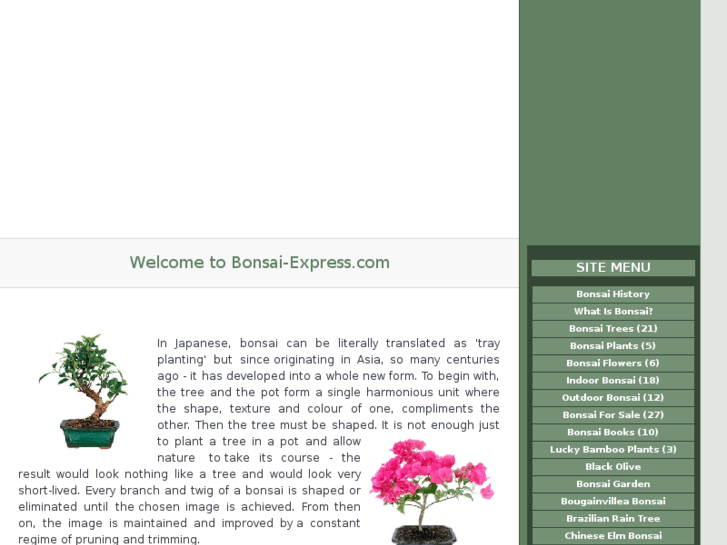 www.bonsai-express.com