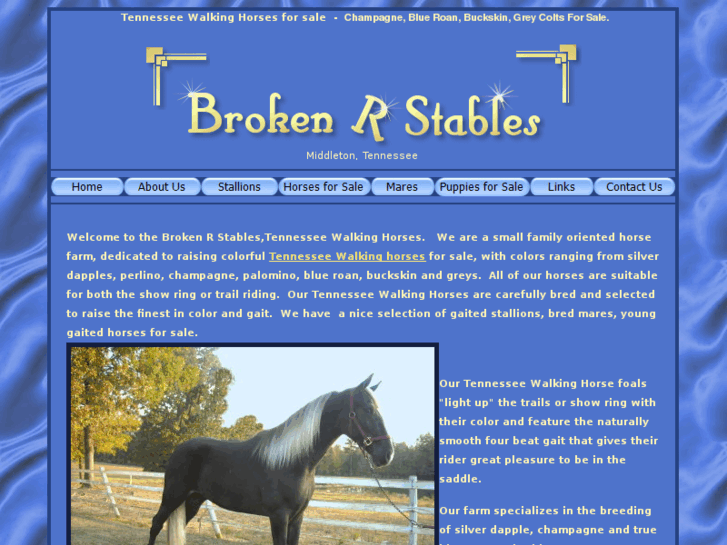 www.brokenrstables.com