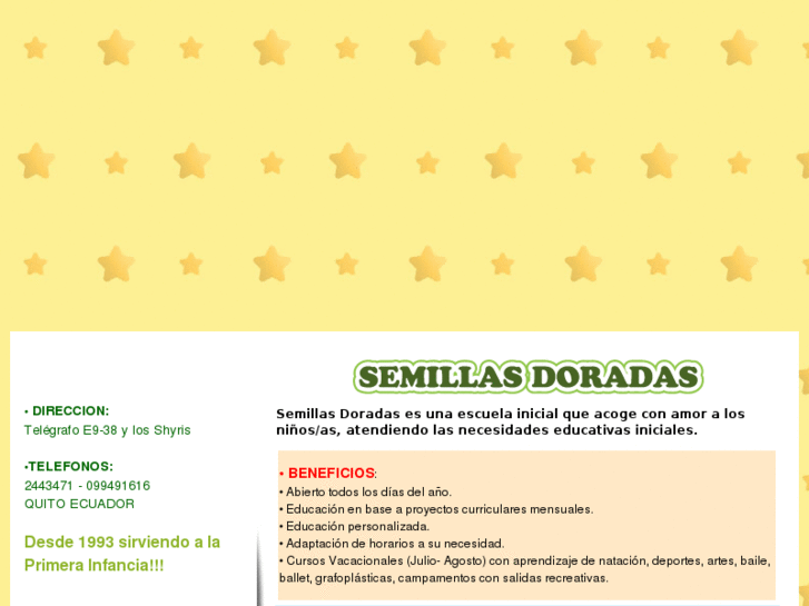 www.centroinfantilsemillasdoradas.com