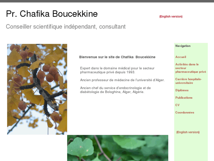 www.chafboucekkine.com